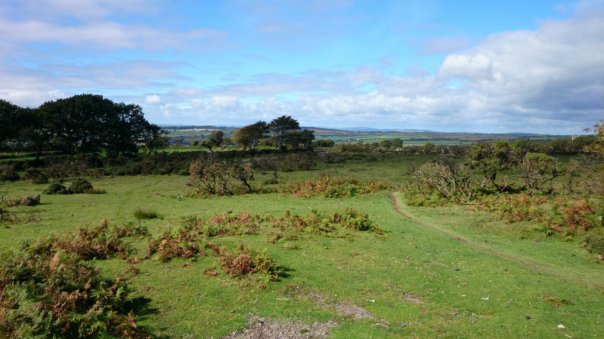 20130918_3.jpg image