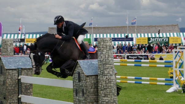 20140605_133239_4.jpg image