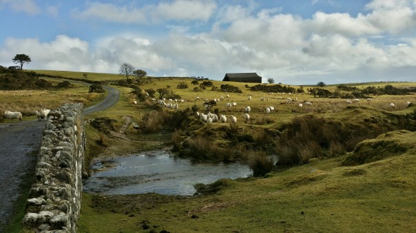 20140221_135339_Richtone(HDR).jpg image