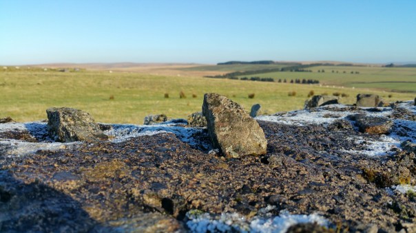 20141228_111734.jpg image