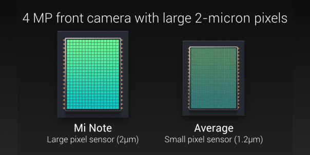 IMG_20150115_093445.jpg image