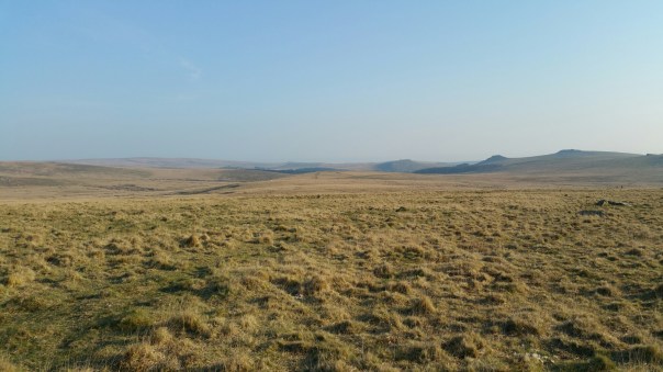 20150423_184120.jpg image